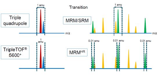 MRMHR  5600.JPG