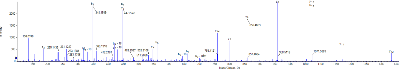 lablled  MSMS spectrum .PNG