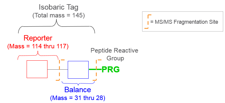 4-Plex