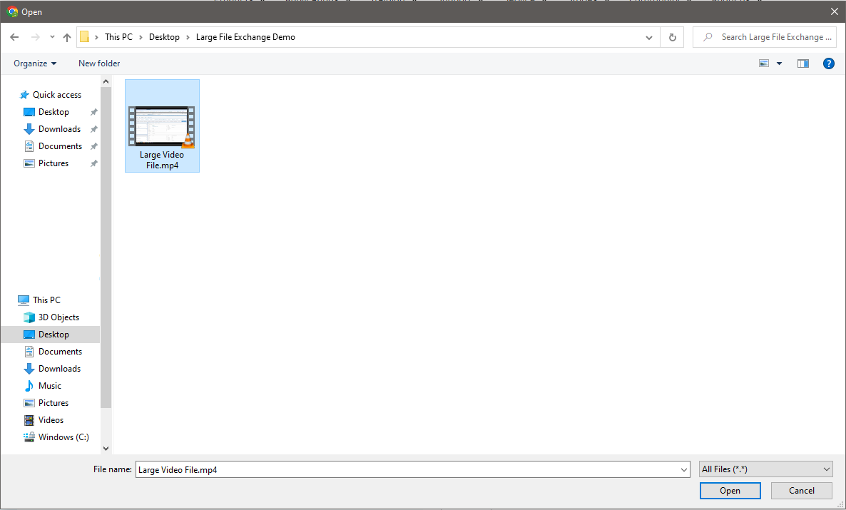 Large File Explorer